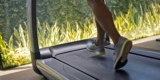 Top 5 Treadmills for Home Workouts